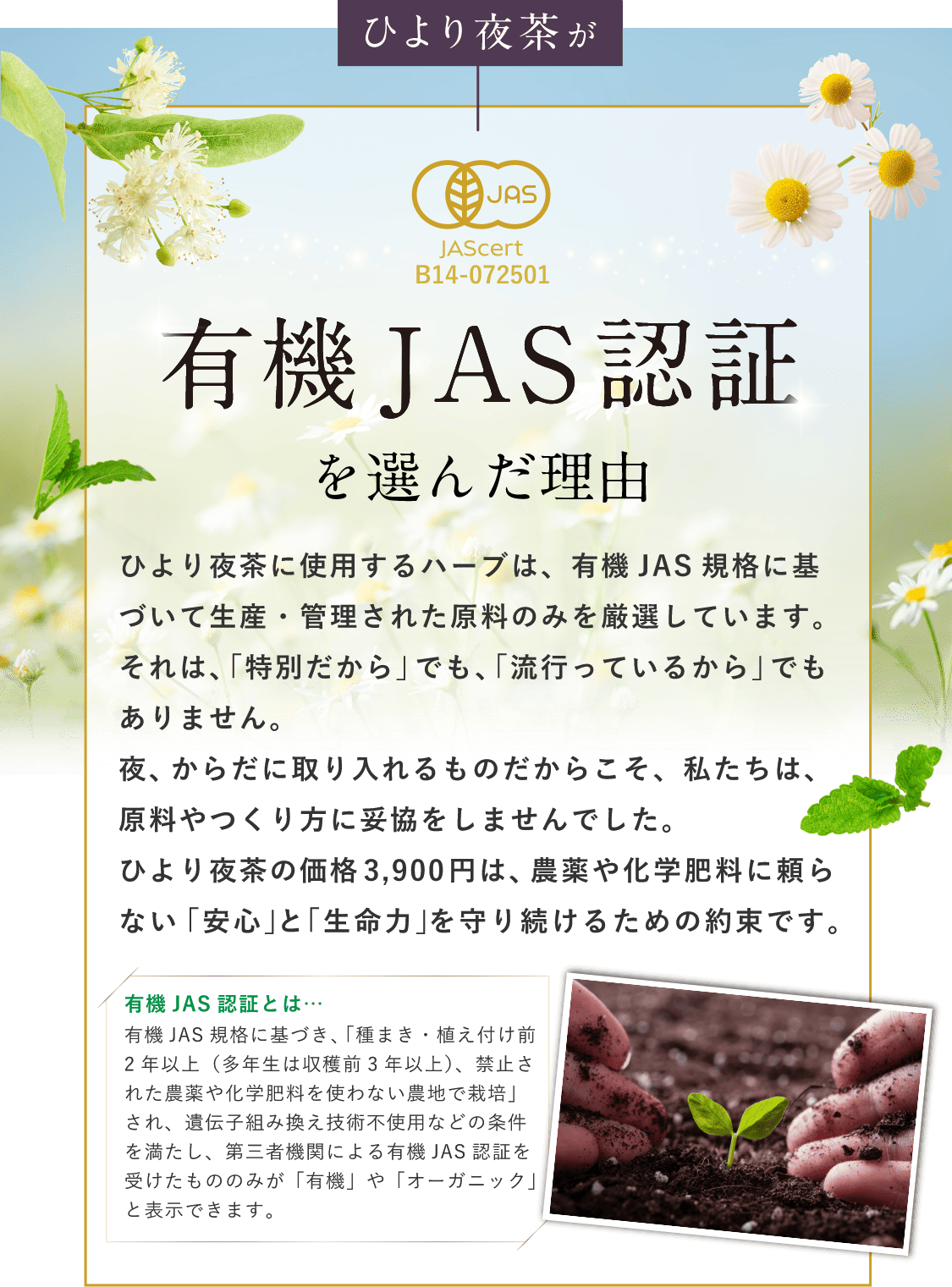 有機JAS認証を選んだ理由。ひより夜茶に使用するハーブは、有機JAS規格に基づいて生産・管理された原料のみを厳選しています。